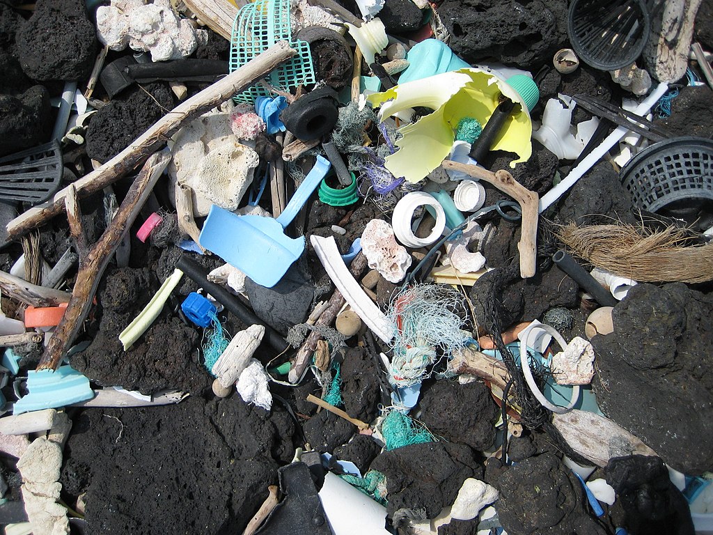 Agir pour limiter les plastiques et les micro plastiques : les éco gestes 